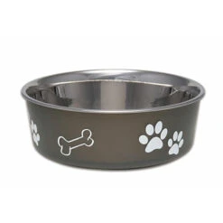 Bella Bowls Stainless Steel Espresso Dog Bowl