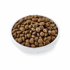 Applaws Taste Toppers Chicken Bone Broth With Turmeric & Parsley Wet Dog Food -Pet Supply Store chicken tt 3 manmyw