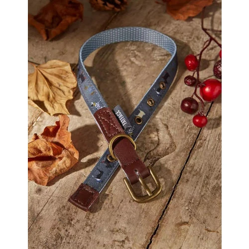 FatFace Marching Dogs Collar For Dogs 6 FatFace Marching Dogs Collar For Dogs - Image 4