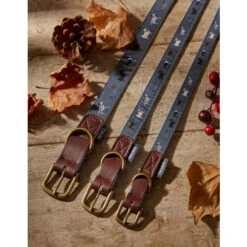 FatFace Marching Dogs Collar For Dogs 11 FatFace Marching Dogs Collar For Dogs -Pet Supply Store collar 3 ryxhxw