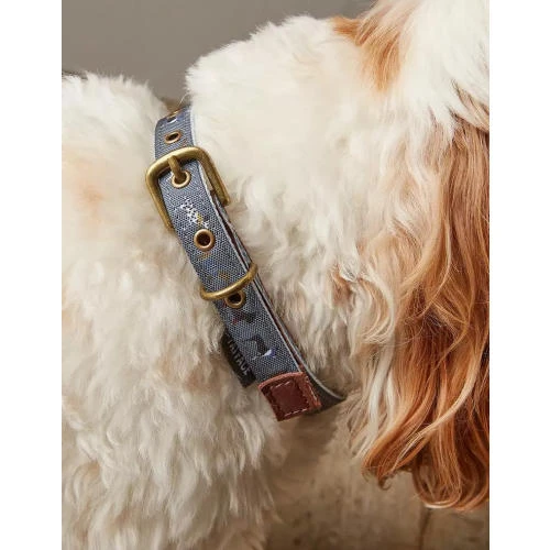 FatFace Marching Dogs Collar For Dogs 4 FatFace Marching Dogs Collar For Dogs - Image 2