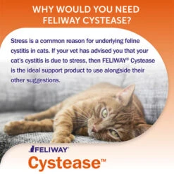 Feliway Cystease Cat Urinary Supplement -Pet Supply Store cystease pages 1 qxmdab