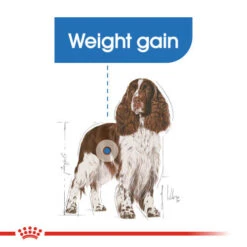 Royal Canin Medium Light Weight Care Dry Dog Food -Pet Supply Store dci9hsk4xuxmduf9okvl 1 jugpnl