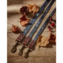 FatFace Marching Dogs Lead For Dogs -Pet Supply Store ezgif 2 bff2871966 x1bljh