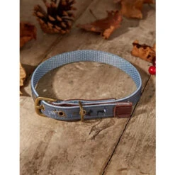 FatFace Marching Dogs Collar For Dogs 9 FatFace Marching Dogs Collar For Dogs -Pet Supply Store fatface collar 1 j2csdw