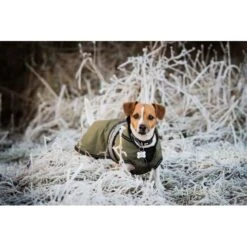 Danish Design 2 In 1 Orange Dog Rain Coat With Reflective Strip -Pet Supply Store fb img 1504525785502 odf0hk 1