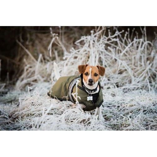 Danish Design 2 In 1 Black Rain Coat With Reflective Strip 6 Danish Design 2 In 1 Black Rain Coat With Reflective Strip - Image 4