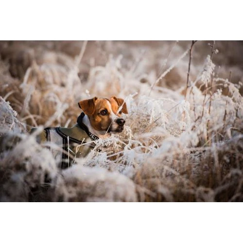 Danish Design 2 In 1 Black Rain Coat With Reflective Strip 10 Danish Design 2 In 1 Black Rain Coat With Reflective Strip - Image 8