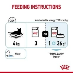 Royal Canin Sensory Feel In Jelly Wet Adult Cat Food 11 Royal Canin Sensory Feel In Jelly Wet Adult Cat Food -Pet Supply Store gfwikg2vikinpxasff9c wxgumv