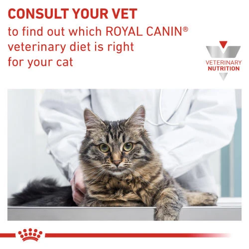Royal Canin Veterinary Diets Gastrointestinal Kitten Dry Cat Food 8 Royal Canin Veterinary Diets Gastrointestinal Kitten Dry Cat Food - Image 6