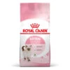Royal Canin Kitten Dry Cat Food 2 Royal Canin Kitten Dry Cat Food -Pet Supply Store gvmtossfsldmlvbcqmxa ltemjb