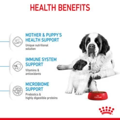 Royal Canin Giant Starter Mother & Babydog Adult And Puppy Dry Dog Food -Pet Supply Store h4iybjswt7dzbbffzxup rw9a68