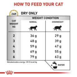 Royal Canin Veterinary Diets Urinary SO Moderate Calorie Cat Food -Pet Supply Store hsiz2dgemrqrfv8dpx6h fhjiv6