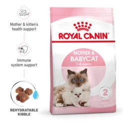 Royal Canin Mother & Babycat Dry Adult & Kitten Food -Pet Supply Store hyji1ea4uqzedtyeiim8 lwebma