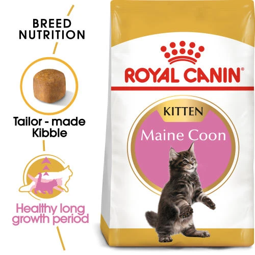 Royal Canin Maine Coon Dry Kitten Cat Food 4 Royal Canin Maine Coon Dry Kitten Cat Food - Image 2