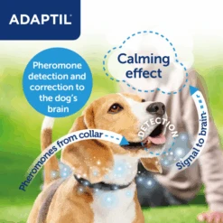 Adaptil Calming Dog Collar -Pet Supply Store infographics adaptil calm collars all dogs2023 05 rfecwn