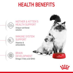 Royal Canin Mother & Babycat Dry Adult & Kitten Food -Pet Supply Store jeefn8kb6swbnspwagjw shqhfg