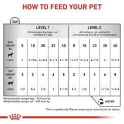Royal Canin Veterinary Diets Feline & Canine Recovery Mousse Wet Food -Pet Supply Store jkgko8knrxvqke5v2wfw uj2ds6