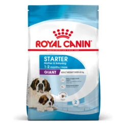 Royal Canin Giant Starter Mother & Babydog Adult And Puppy Dry Dog Food