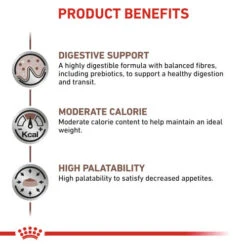 Royal Canin Veterinary Diets Gastrointestinal Moderate Calorie Dry Adult Cat Food -Pet Supply Store kuxsldtllloenlaklqbl xijxgm