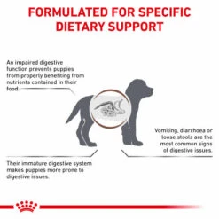 Royal Canin Veterinary Diets Gastrointestinal Dry Puppy Food -Pet Supply Store lajjq1rjc6mjvsag8uun uzqlfm