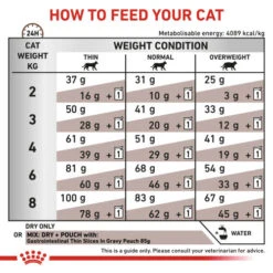Royal Canin Veterinary Diets Gastrointestinal Dry Adult Cat Food -Pet Supply Store lchcq4gc9qmjixyehddp t7xvbo