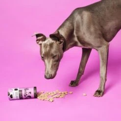 Pooch & Mutt Calm & Relaxed Natural Dog Treats -Pet Supply Store low calorie natural treats for dogs whippet jchg1l