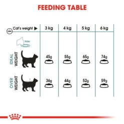 Royal Canin Hairball Care Dry Adult Cat Food -Pet Supply Store mwkaupx1okhzak9xt4ov pf21eq