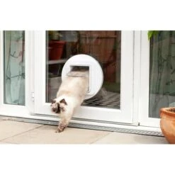 SureFlap Large Microchip Pet Door Cats & Small Dogs -Pet Supply Store nDr BhCJDzDkawZDHMPmieYVi8Q4RHrg2YgOgaAjwyGv4f81M1C6NKcA4AAAAASUVORK5CYII tcnhlt