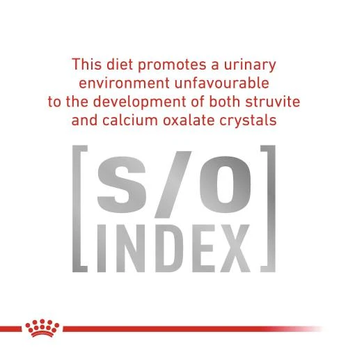 Royal Canin Veterinary Diets Early Renal Dry Adult Cat Food 6 Royal Canin Veterinary Diets Early Renal Dry Adult Cat Food - Image 4