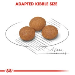 Royal Canin X-Small Adult +8 Dry Dog Food 11 Royal Canin X-Small Adult +8 Dry Dog Food -Pet Supply Store nsalxuxy2mzbgd3edcsy v7erla