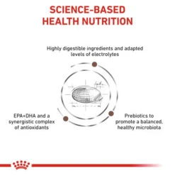 Royal Canin Veterinary Diets Gastrointestinal Moderate Calorie Dry Adult Cat Food -Pet Supply Store oeclqc8wtobyozvfip4g id39fr