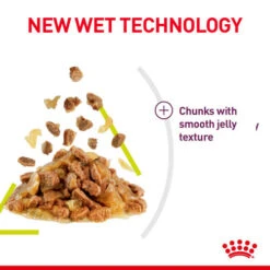 Royal Canin Sensory Smell In Jelly Wet Adult Cat Food -Pet Supply Store ojxbhirwzx2qb6jsyecc efh9iy