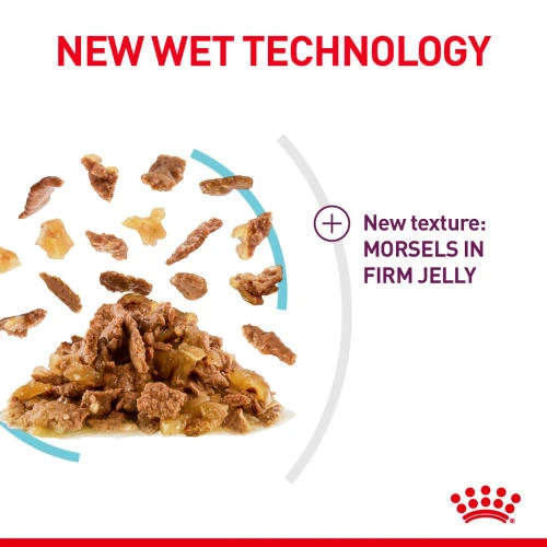 Royal Canin Sensory Feel In Jelly Wet Adult Cat Food 7 Royal Canin Sensory Feel In Jelly Wet Adult Cat Food - Image 5