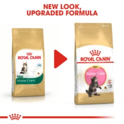 Royal Canin Maine Coon Dry Kitten Cat Food 10 Royal Canin Maine Coon Dry Kitten Cat Food -Pet Supply Store poar2uunlqcbpa64pd6e uz84wi
