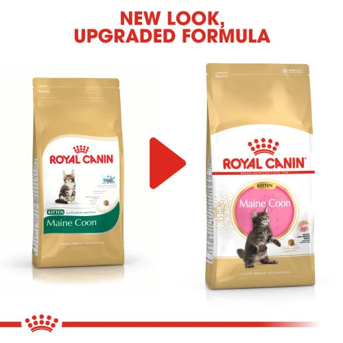 Royal Canin Maine Coon Dry Kitten Cat Food 5 Royal Canin Maine Coon Dry Kitten Cat Food - Image 3