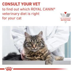 Royal Canin Veterinary Diets Urinary SO Pouches Cat Food -Pet Supply Store qlz7zd2ldue2cx7tsxrv emxgfx