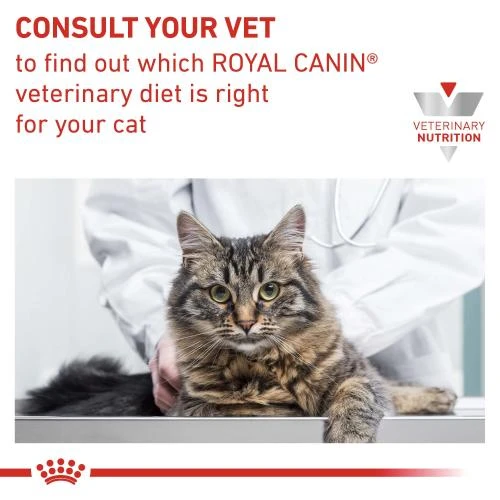 Royal Canin Veterinary Diets Renal In Loaf Wet Adult Cat Food 7 Royal Canin Veterinary Diets Renal In Loaf Wet Adult Cat Food - Image 5