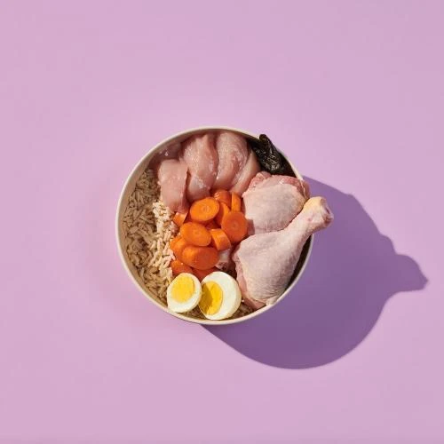 Naturediet Feel Good Chicken Puppy Wet Dog Food Cartons 7 Naturediet Feel Good Chicken Puppy Wet Dog Food Cartons - Image 5