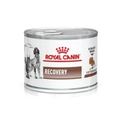 Royal Canin Veterinary Diets Feline & Canine Recovery Mousse Wet Food