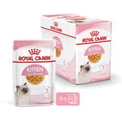 Royal Canin Kitten In Jelly Wet Cat Food Pouches -Pet Supply Store rltbkmm2ejegu4owx4sb ks6b0f