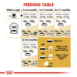 Royal Canin Maine Coon Dry Kitten Cat Food 12 Royal Canin Maine Coon Dry Kitten Cat Food -Pet Supply Store rmkn7nbj0g8lleyg7nra k1dt2c