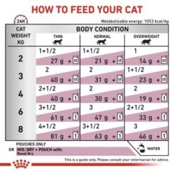 Royal Canin Veterinary Diets Renal In Loaf Wet Adult Cat Food 10 Royal Canin Veterinary Diets Renal In Loaf Wet Adult Cat Food -Pet Supply Store rmmhvvhex7nplomnztzo sskwyo