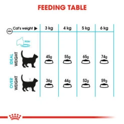 Royal Canin Urinary Care Dry Adult Cat Food -Pet Supply Store syl7wxzrwqypl9sz9n4o bez6uw