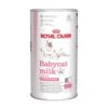 Royal Canin Babycat Milk Kitten Food