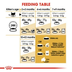 Royal Canin Persian Kitten Dry Cat Food -Pet Supply Store uco0kiakqrvxm1etr1nc anjs2f