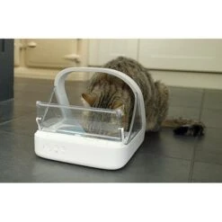 SureFeed Microchip Pet Feeder With Bowls Mat & RFID Tag -Pet Supply Store udbIAAAAASUVORK5CYII hj6bmu