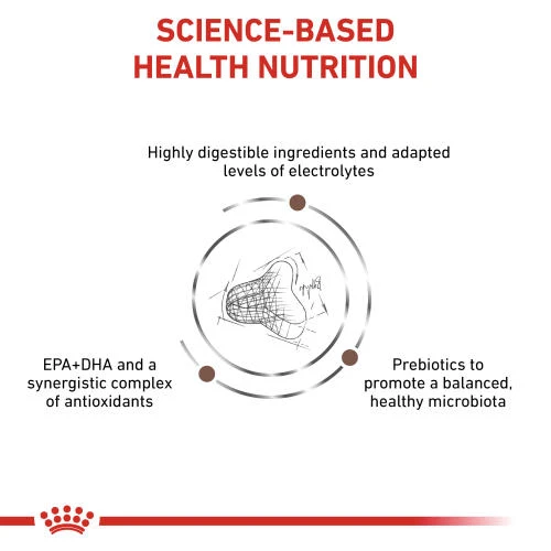 Royal Canin Veterinary Diets Gastrointestinal Fibre Response Dry Adult Cat Food 5 Royal Canin Veterinary Diets Gastrointestinal Fibre Response Dry Adult Cat Food - Image 3
