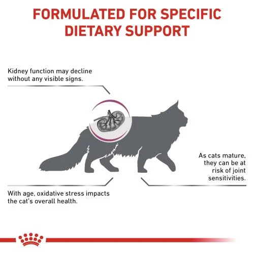 Royal Canin Veterinary Diets Early Renal Dry Adult Cat Food 7 Royal Canin Veterinary Diets Early Renal Dry Adult Cat Food - Image 5