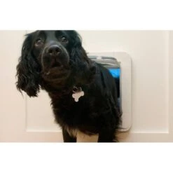 SureFlap Large Microchip Pet Door Cats & Small Dogs -Pet Supply Store wdT0FO5FozaHgAAAABJRU5ErkJggg ak1wgh